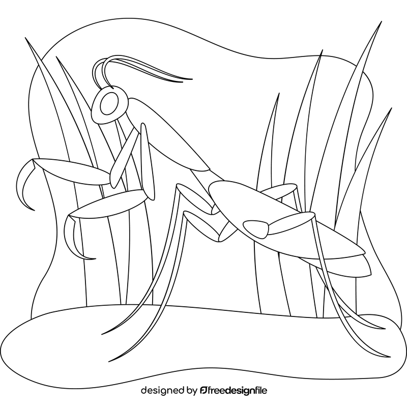 Praying mantis outline black and white clipart