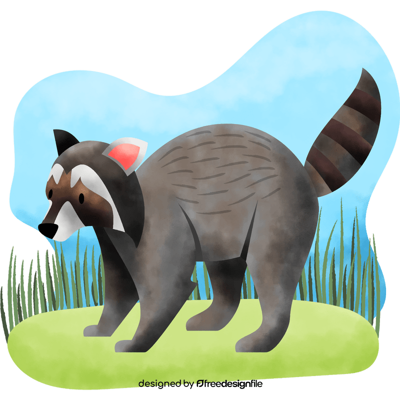 Raccoon vector