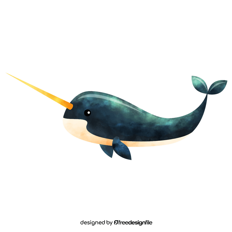 Narwhal clipart