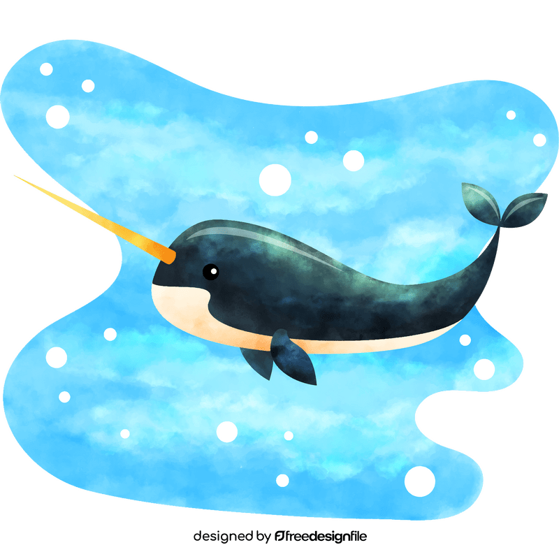 Narwhal vector
