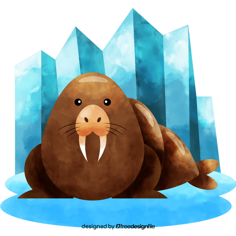 Walrus vector