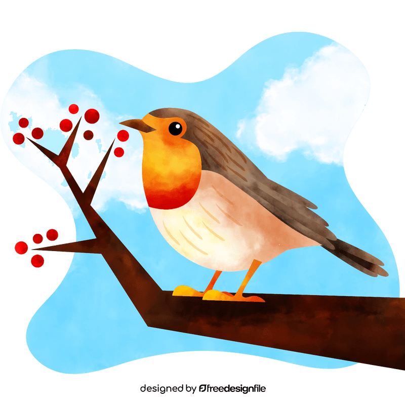 Robin bird vector