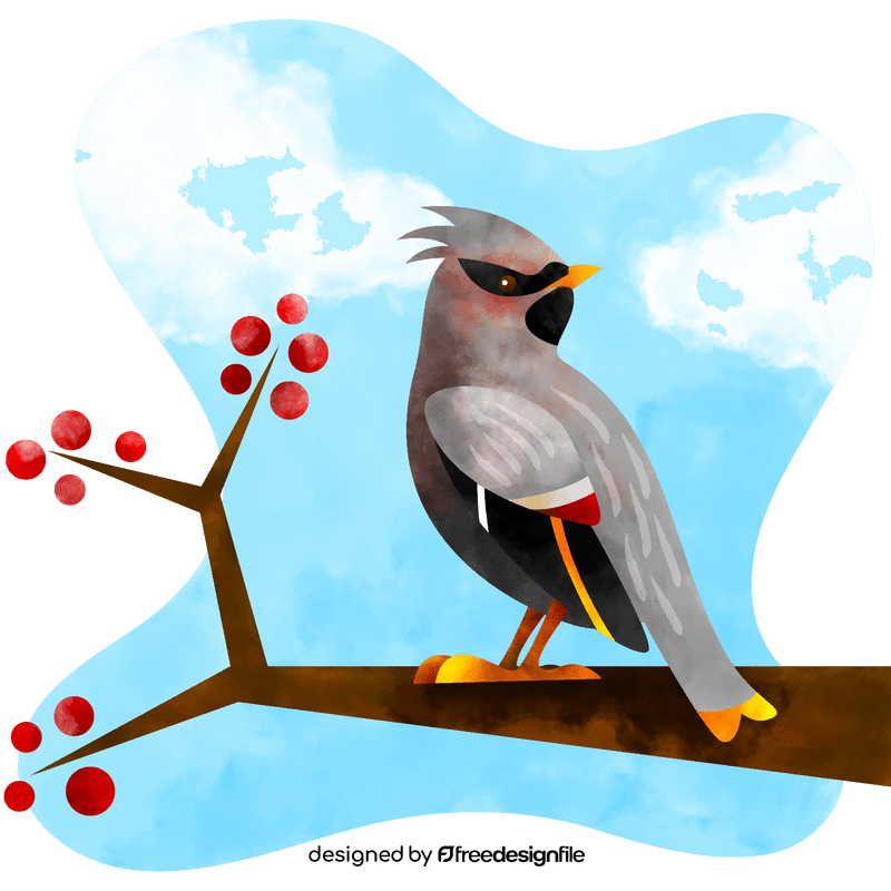 Bohemian waxwing bird vector