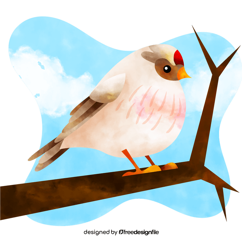 Hoary redpoll bird vector