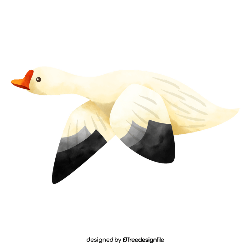 Snow geese bird clipart