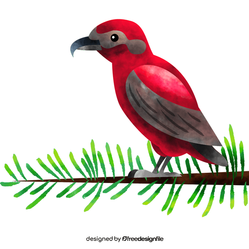 Red crossbill bird clipart