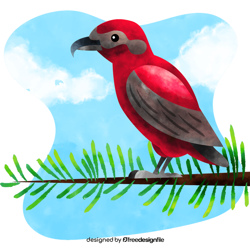 Red crossbill bird vector