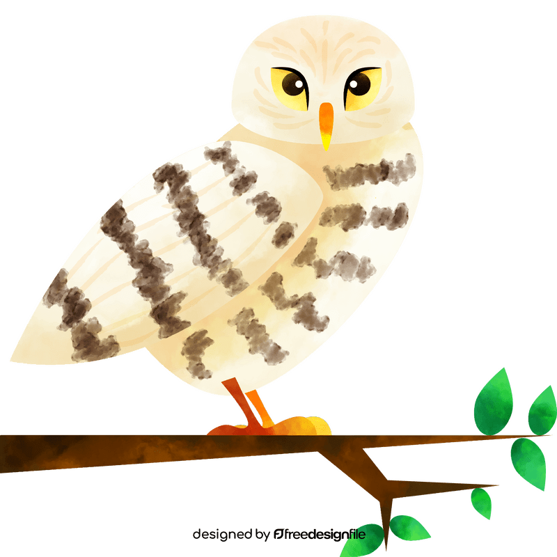 Snowy owl bird clipart