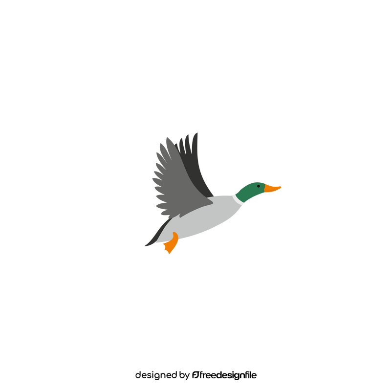 Flying duck clipart