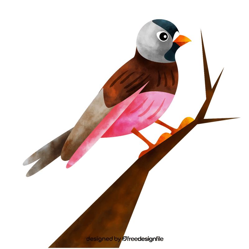Rosy finch bird clipart