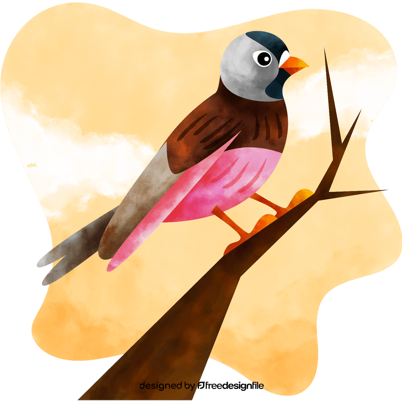 Rosy finch bird vector