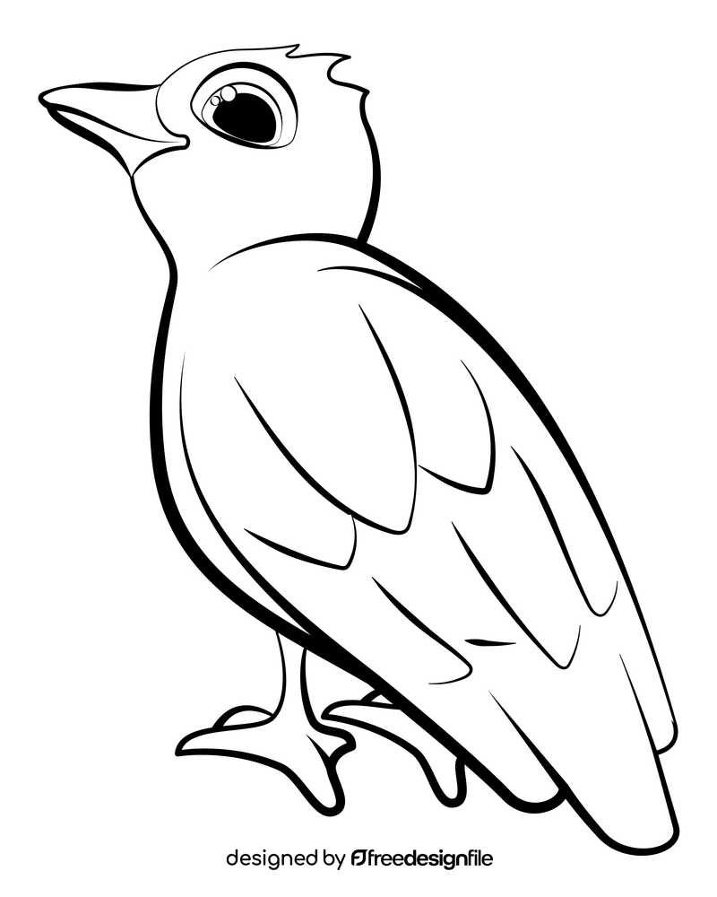 Crow black and white clipart