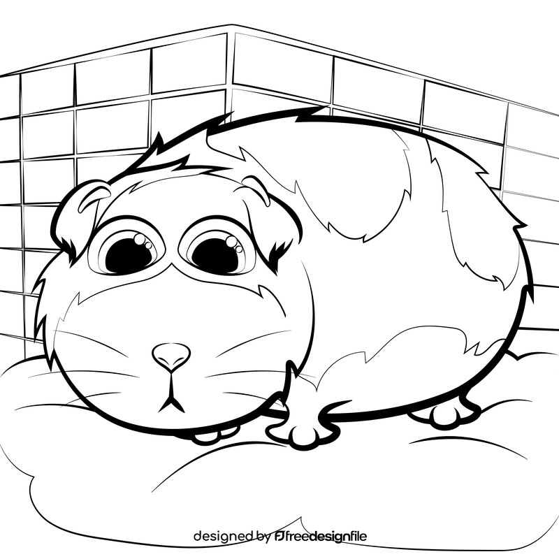 Guinea pig black and white vector