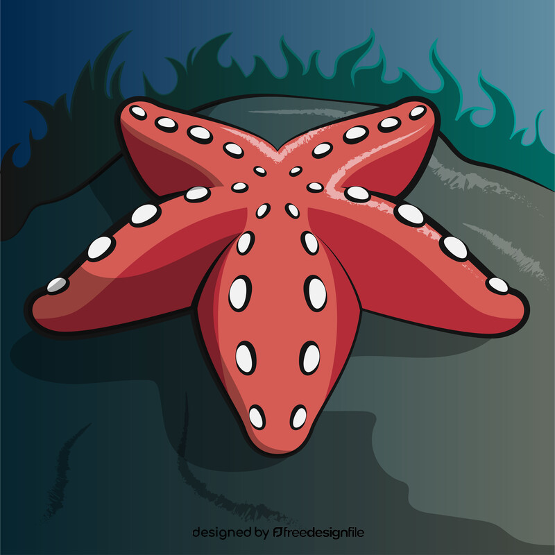 Starfish cartoon vector