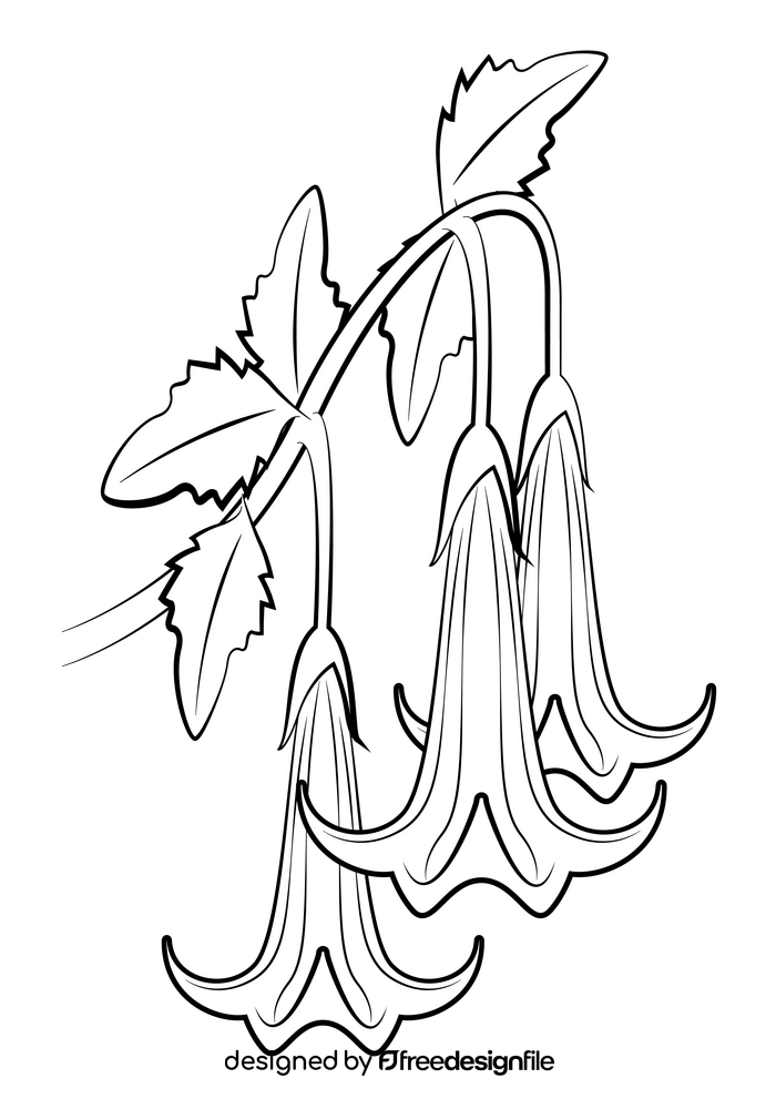 Angel's trumpet flower black and white clipart