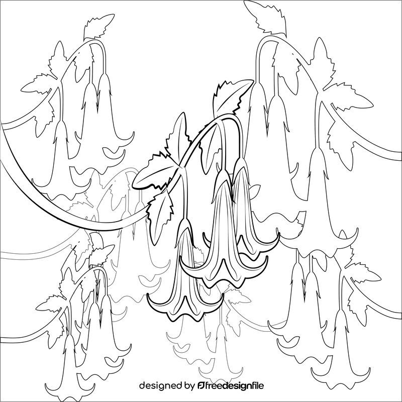 Angel's trumpet flower black and white vector