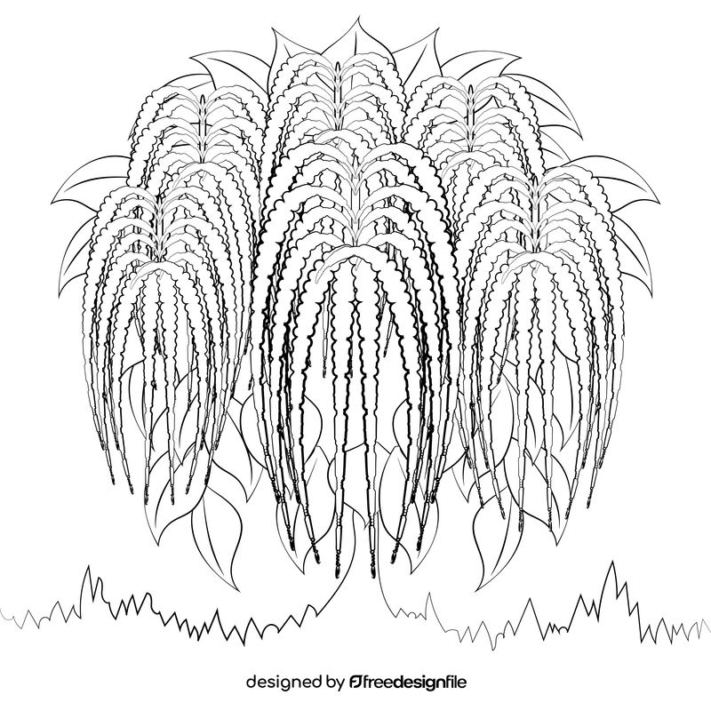Amaranthus flower black and white vector
