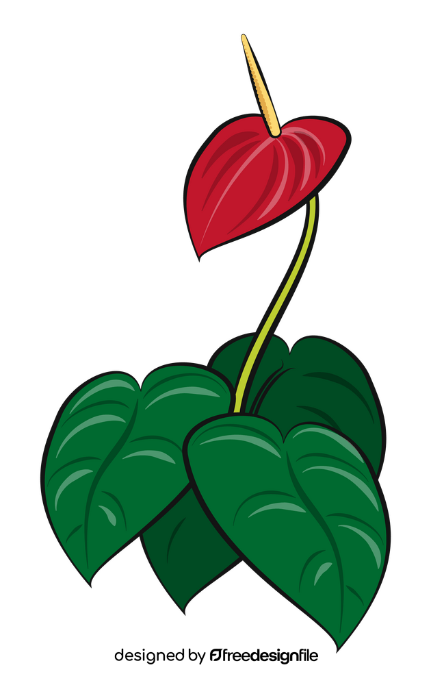 Anthurium flower clipart