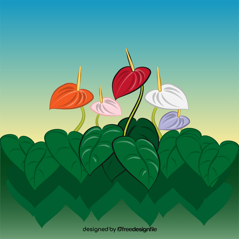 Anthurium flower vector