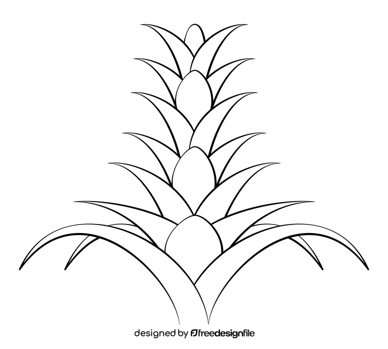 Bromeliad flower black and white clipart