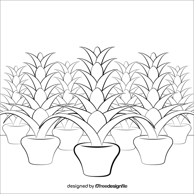 Bromeliad flower black and white vector