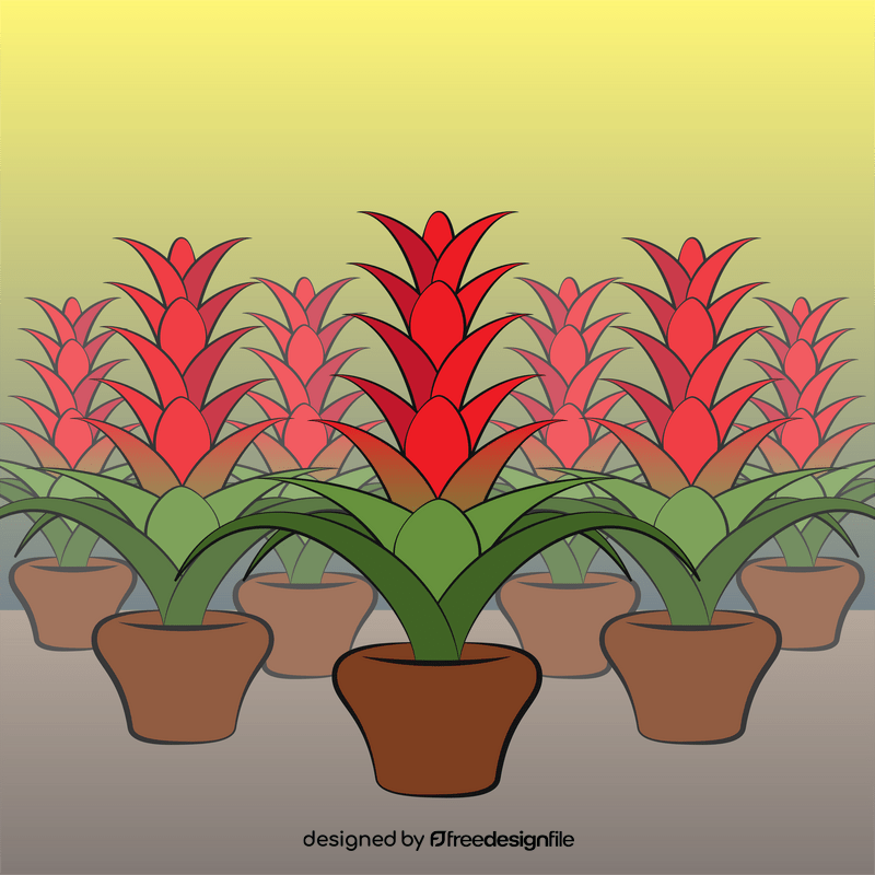 Bromeliad flower vector