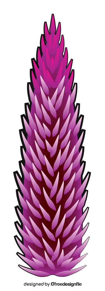 Celosia flower clipart