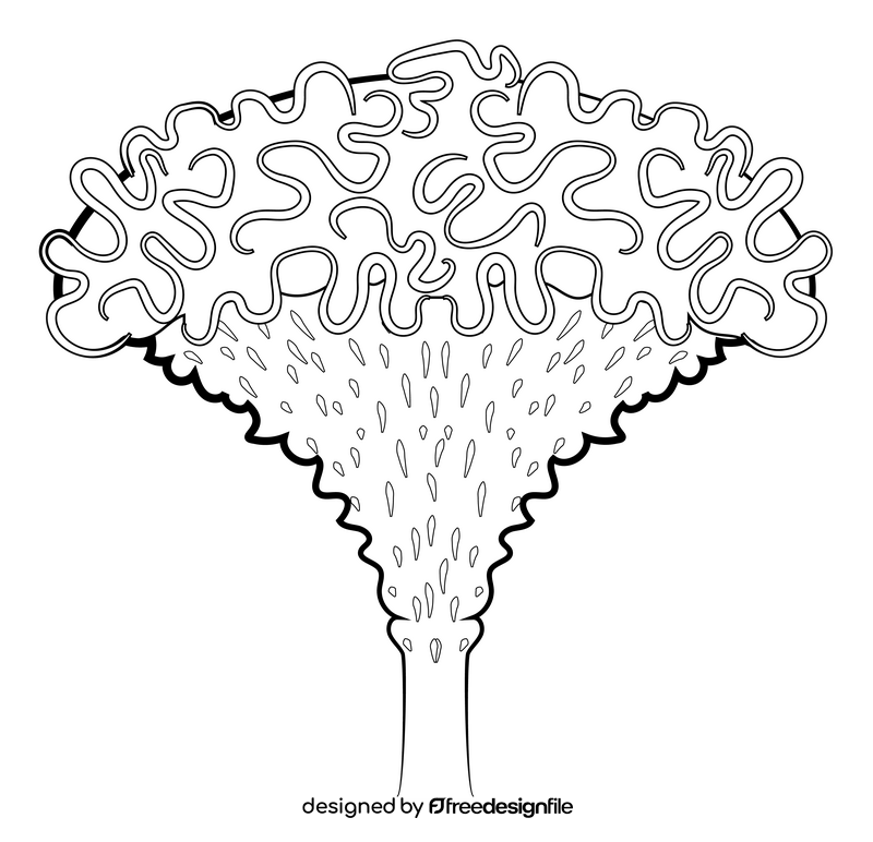 Cockscomb flower black and white clipart