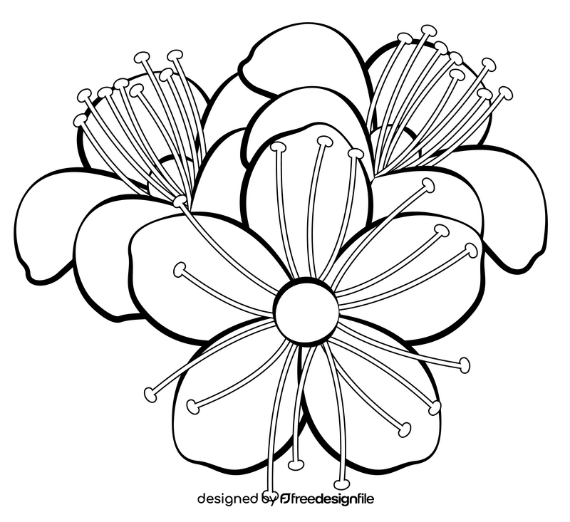 Hypericum flower black and white clipart