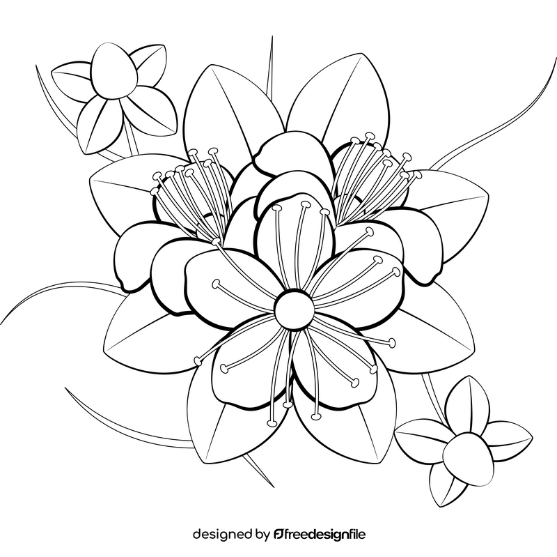 Hypericum flower black and white vector