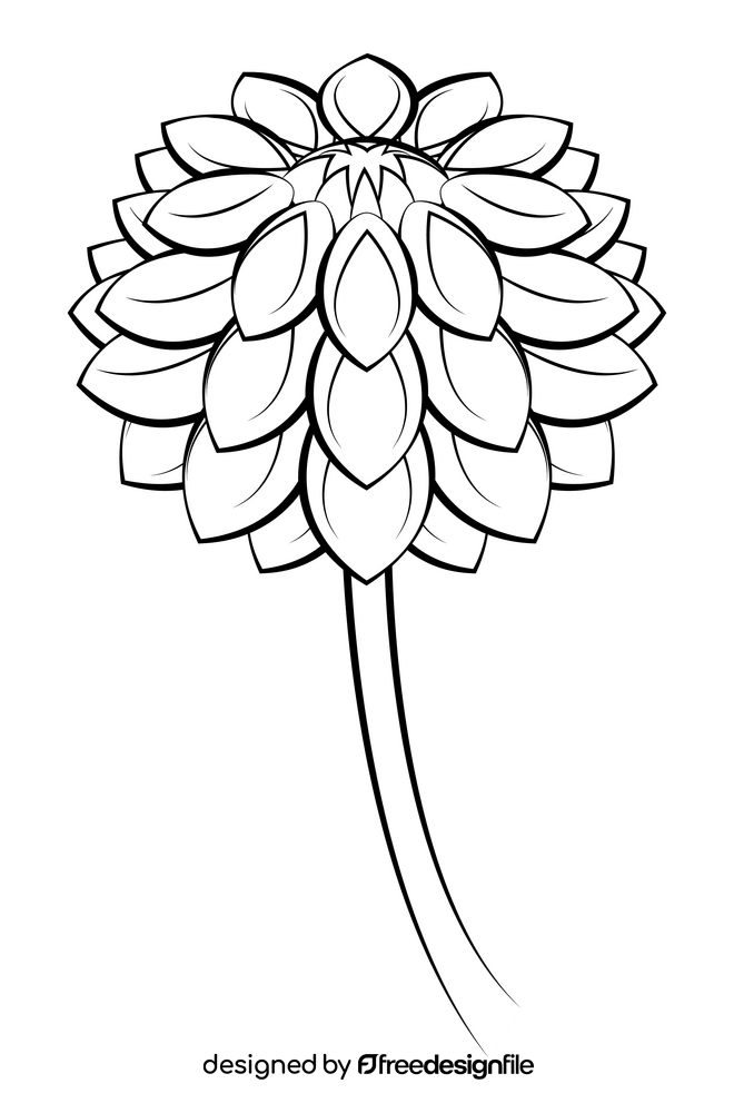 Dahlia black and white clipart