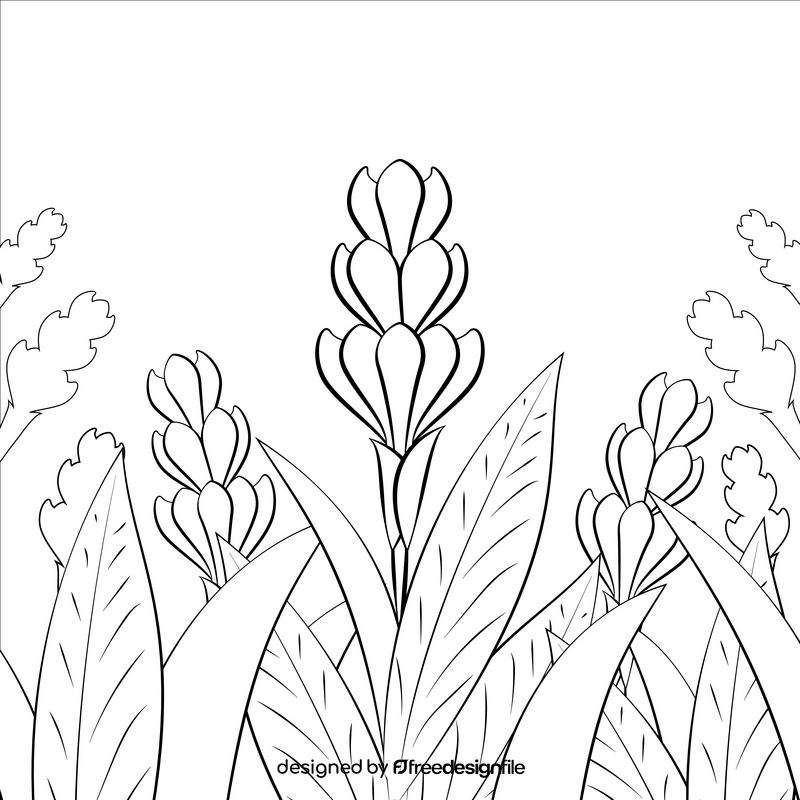 Ginger flower black and white vector