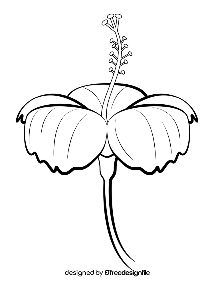 Hibiscus flower black and white clipart