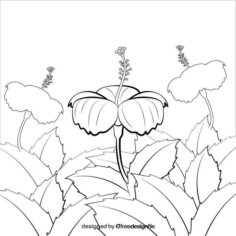 Hibiscus flower black and white vector