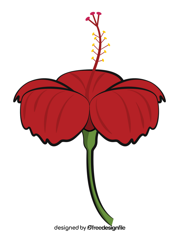 Hibiscus flower clipart