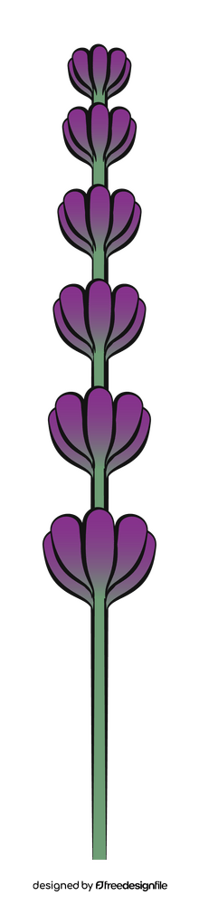 Lavender flower clipart