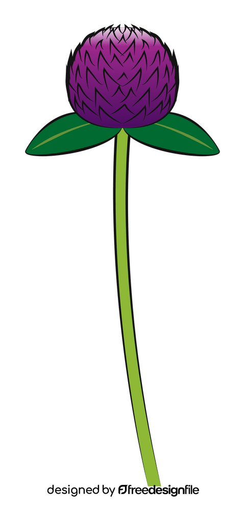 Globe amaranth flower clipart