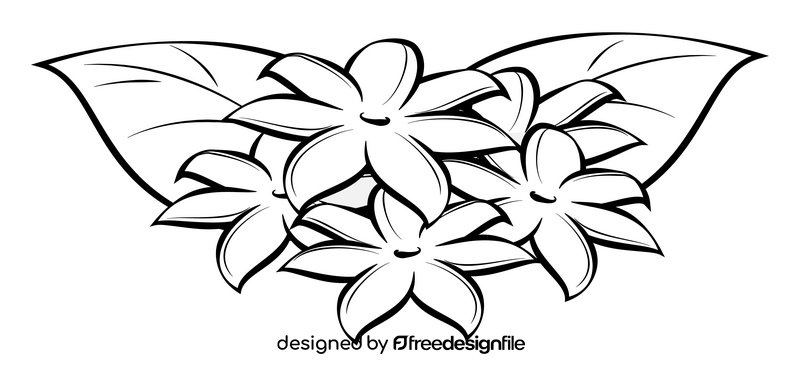 Jasmine flower black and white clipart