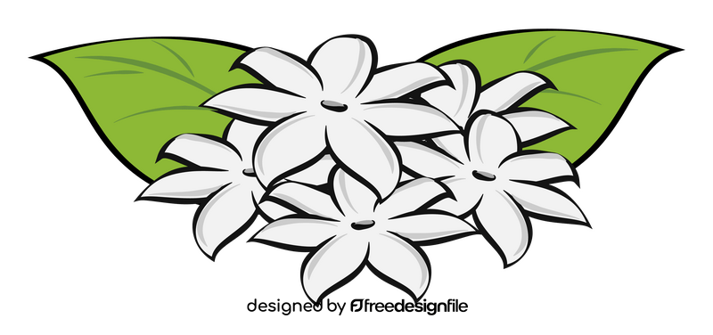 Jasmine flower clipart