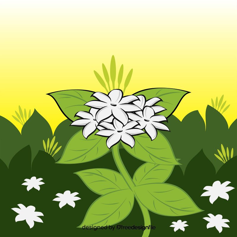 Jasmine flower vector