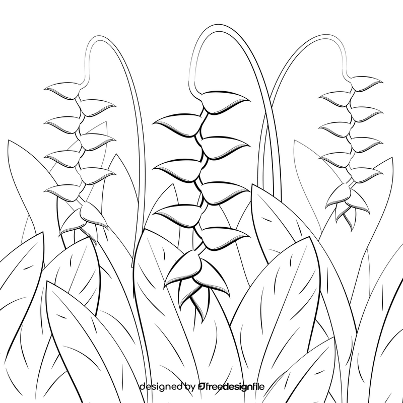 Lobster claws flower black and white vector