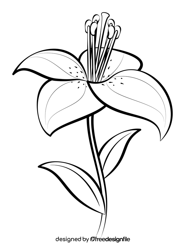 Lily black and white clipart