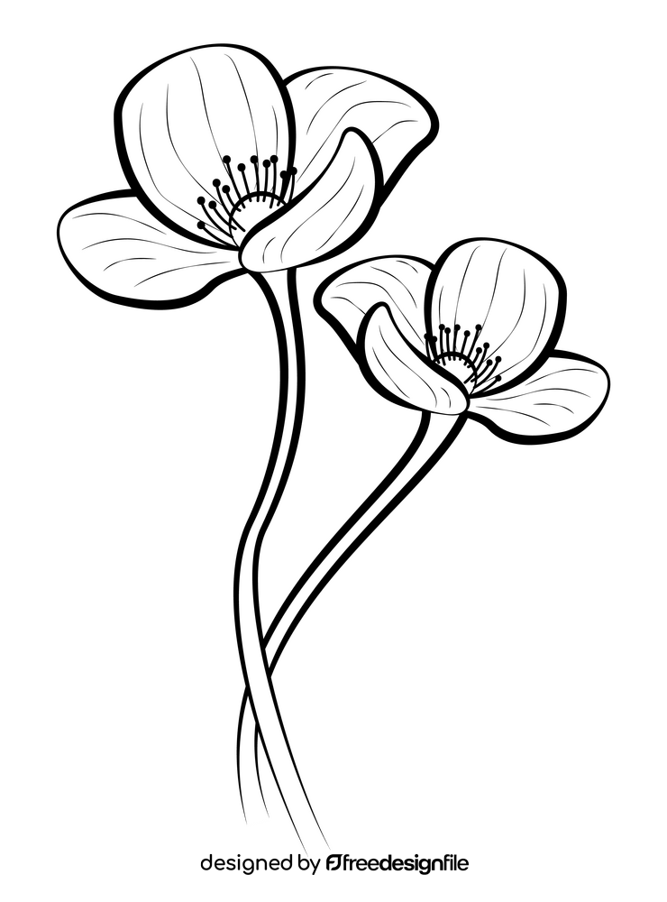Poppy drawing black and white clipart