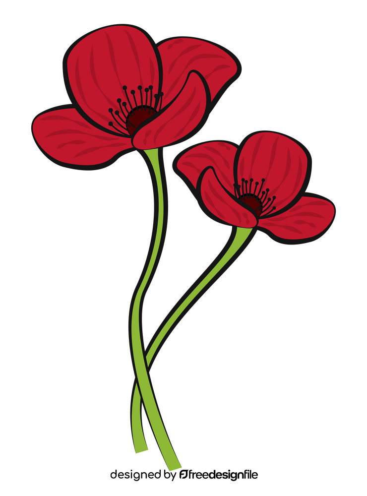 Poppy drawing clipart