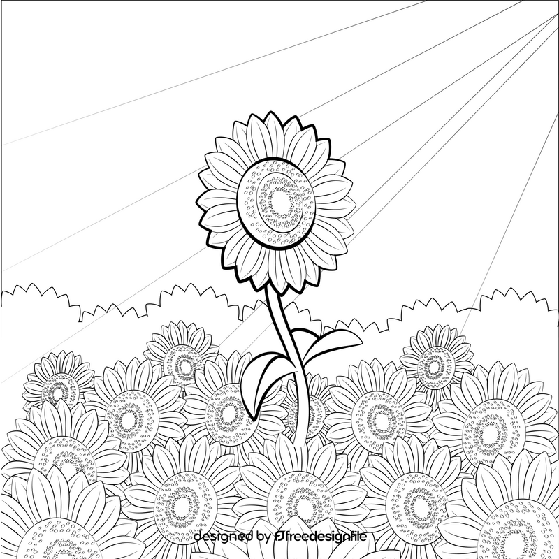 Sunflower drawing black and white vector