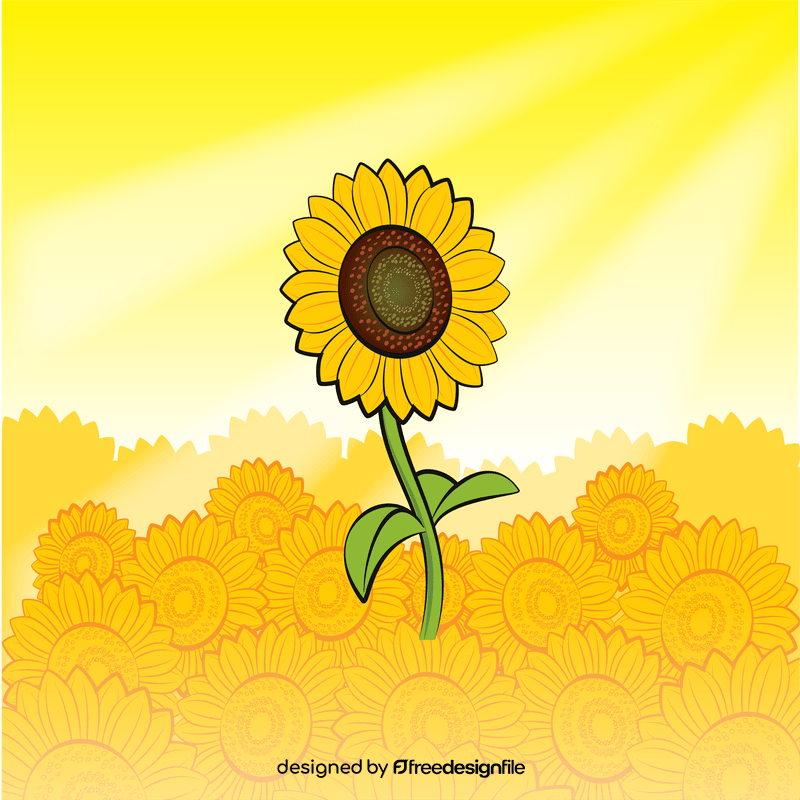 Sunflower drawing vector