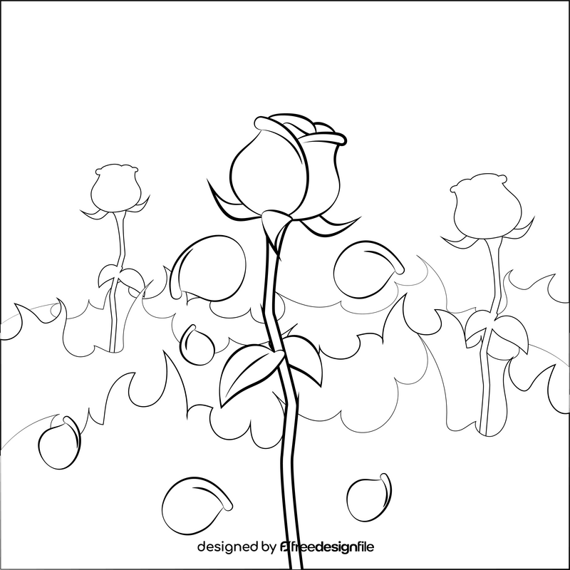 Rose drawing black and white vector