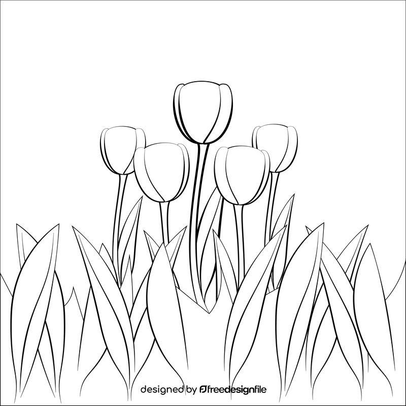 Tulip drawing black and white vector