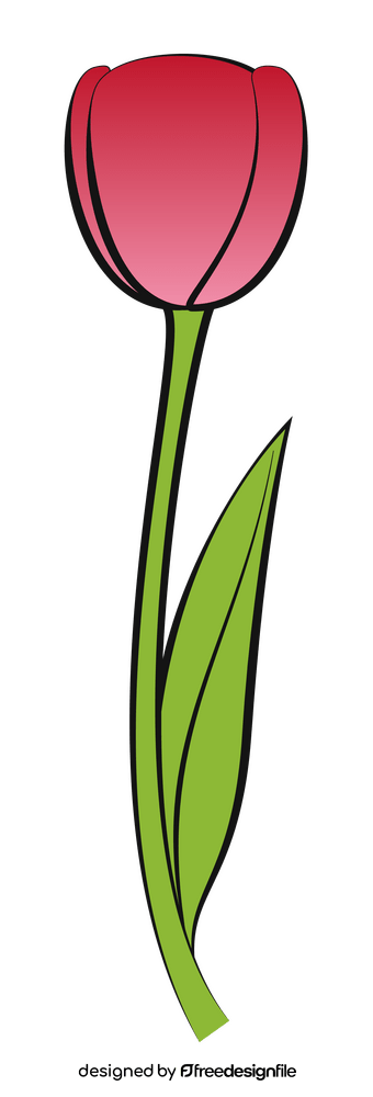 Tulip drawing clipart