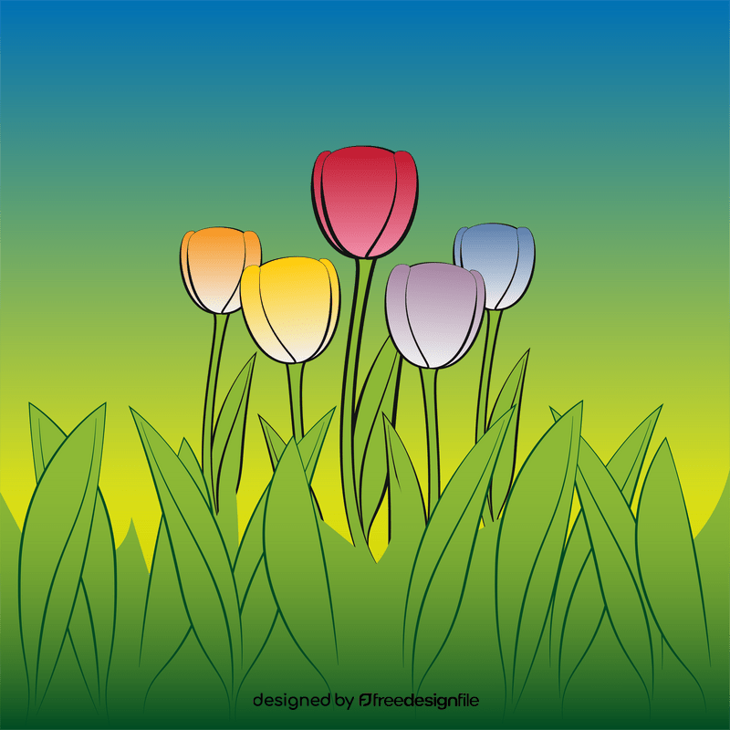 Tulip drawing vector